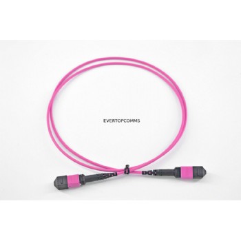 1 Meter MTP Patch Cord Multimode OM4