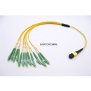 MPO-LC 12 core Fiber Optic Patch Cord