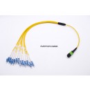 MPO-LC single mode 12 core Fiber Optic Patch Cord UPC